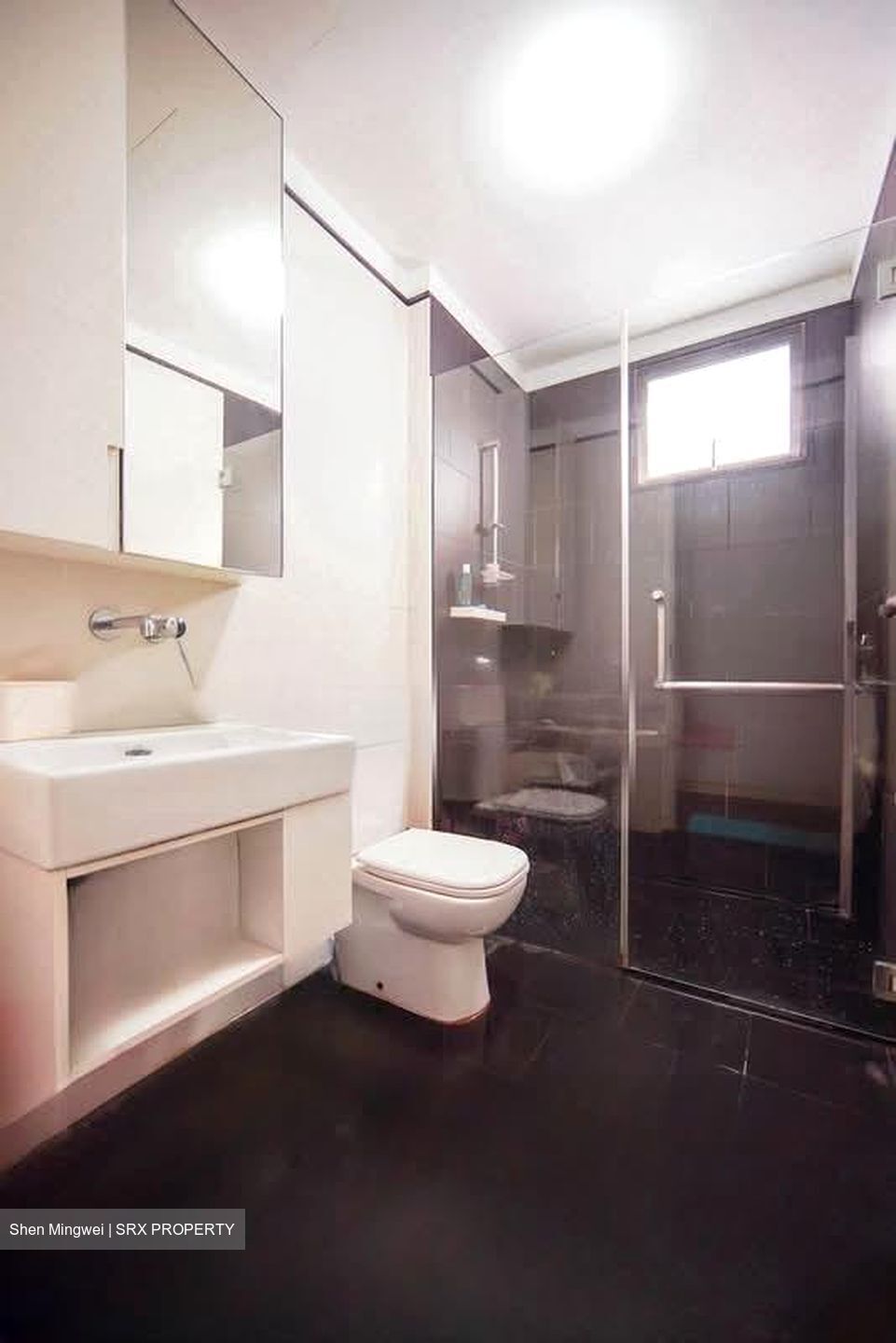 Village @ Pasir Panjang (D5), Condominium #565969681